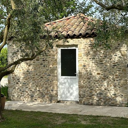 Châteauneuf-du-Rhône Maisonnette Independante Au Calme Dans Un Grand Jardin المظهر الخارجي الصورة
