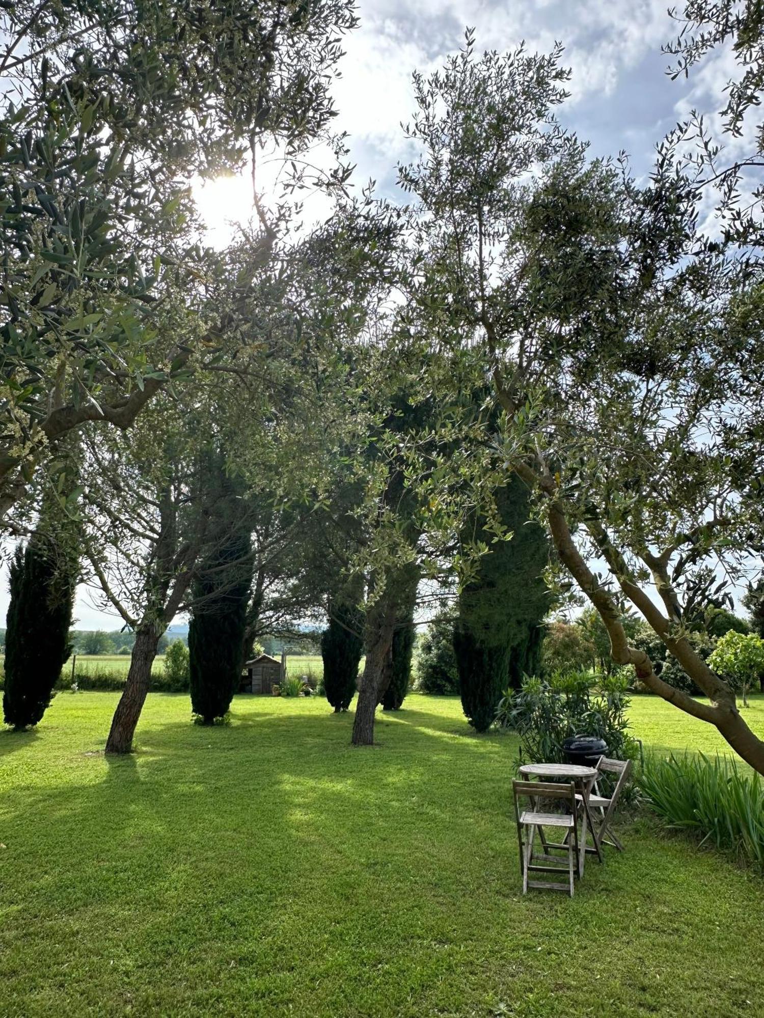 Châteauneuf-du-Rhône Maisonnette Independante Au Calme Dans Un Grand Jardin المظهر الخارجي الصورة